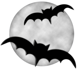 Web decoration